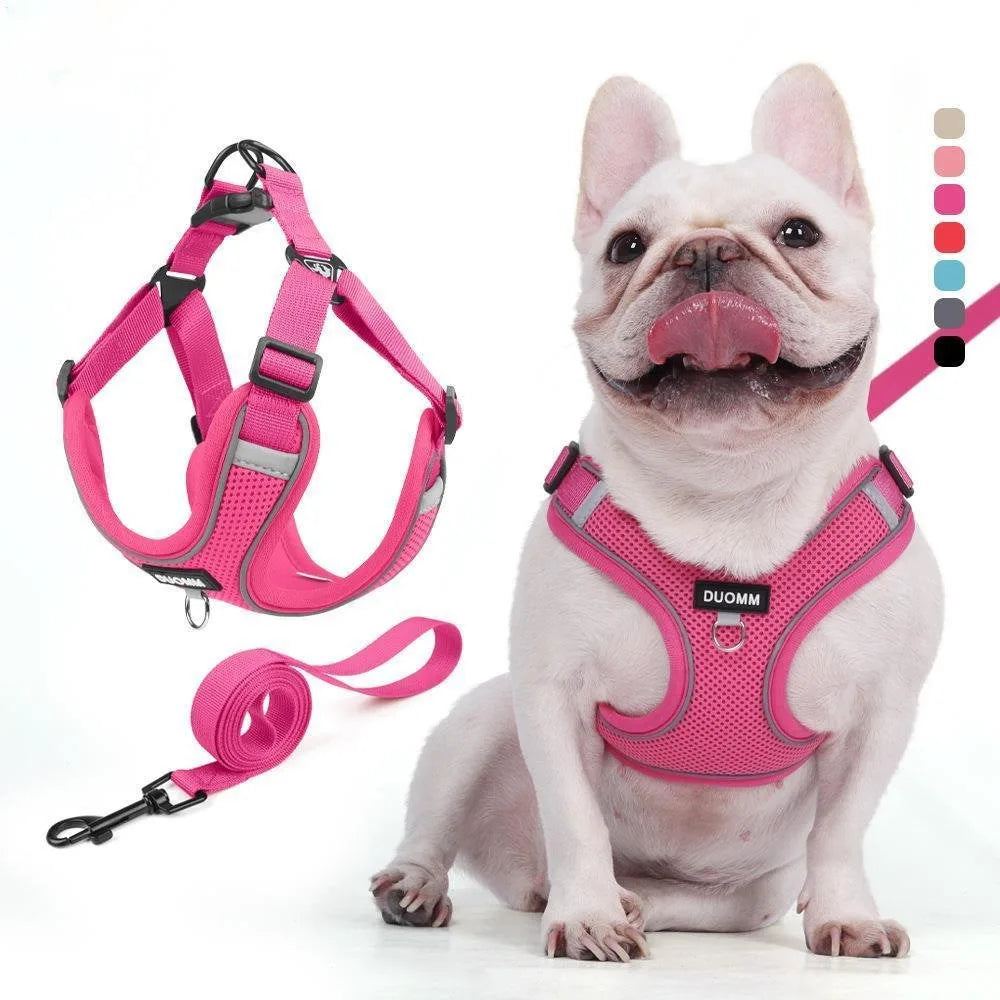 Dog Harness Leash Set