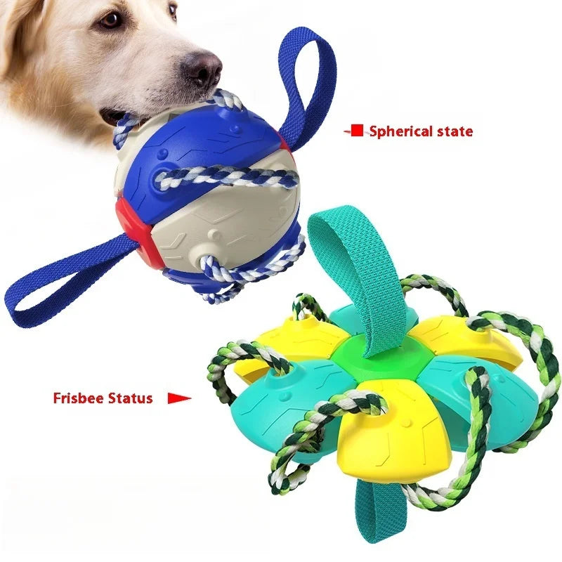 Dog Soccer Ball